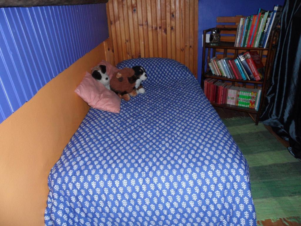 Chambres D'Hotes Casa Sylvana Saint-Dalmas-de-Tende Cameră foto